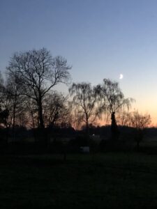 Foto maan en bomen