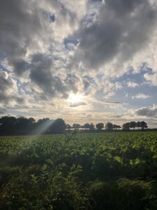 foto: over de velden met wolken